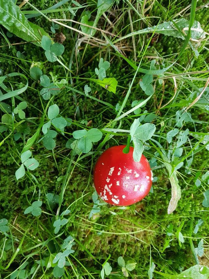 Freundliche Unterkunft Sauerland Мешеде Екстериор снимка